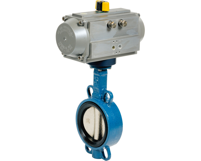 Ductile iron butterfly valve 1123 + RE/RES pneumatic actuator